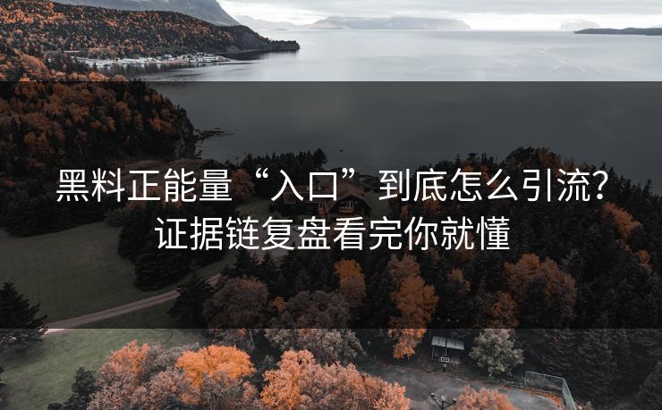 黑料正能量“入口”到底怎么引流？证据链复盘看完你就懂